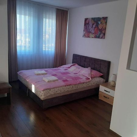 Vila Centar Mb Bed and Breakfast Sjenica Buitenkant foto