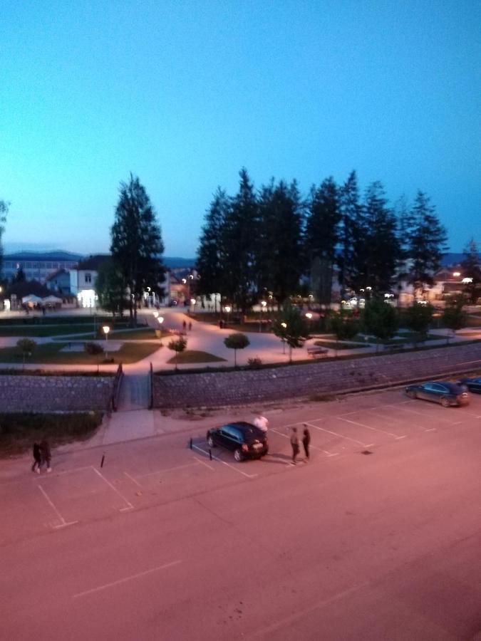 Vila Centar Mb Bed and Breakfast Sjenica Buitenkant foto