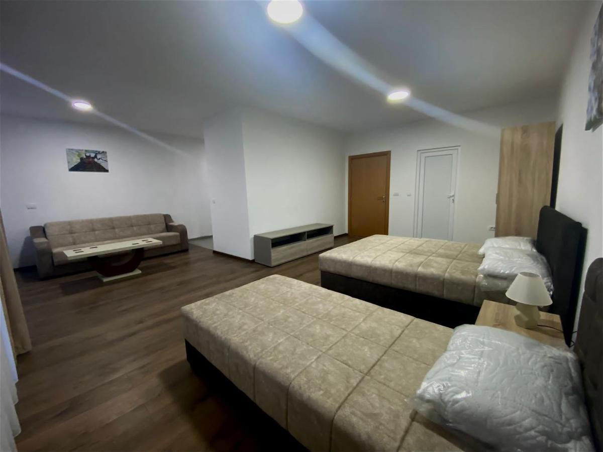 Vila Centar Mb Bed and Breakfast Sjenica Buitenkant foto