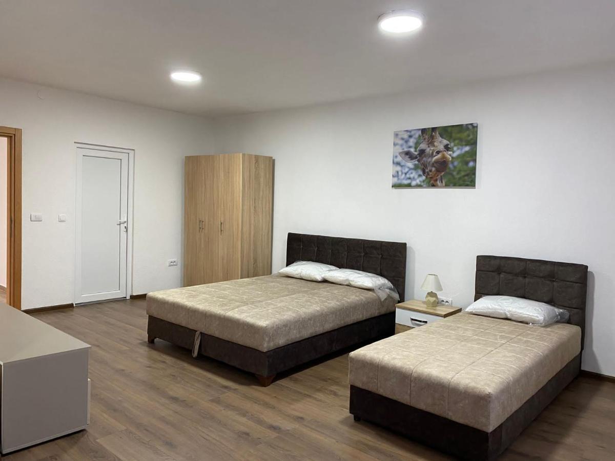 Vila Centar Mb Bed and Breakfast Sjenica Buitenkant foto