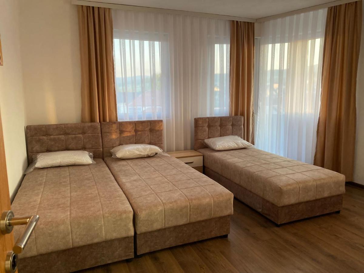 Vila Centar Mb Bed and Breakfast Sjenica Buitenkant foto