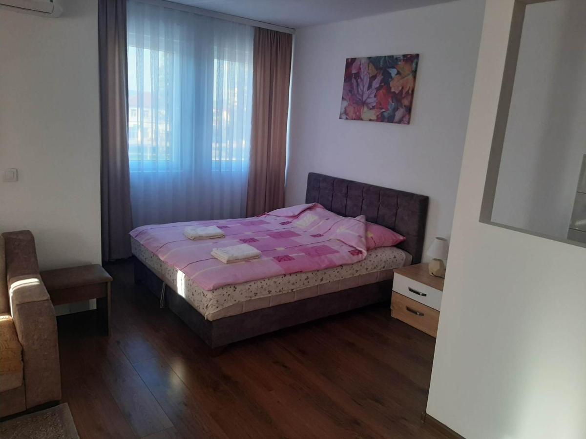 Vila Centar Mb Bed and Breakfast Sjenica Buitenkant foto