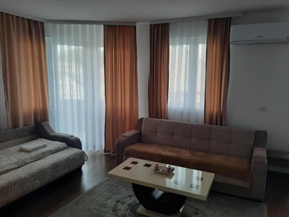 Vila Centar Mb Bed and Breakfast Sjenica Buitenkant foto