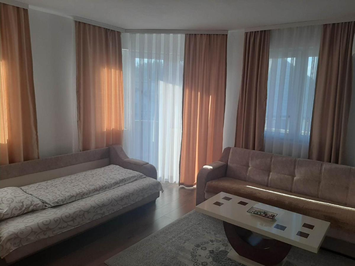 Vila Centar Mb Bed and Breakfast Sjenica Buitenkant foto